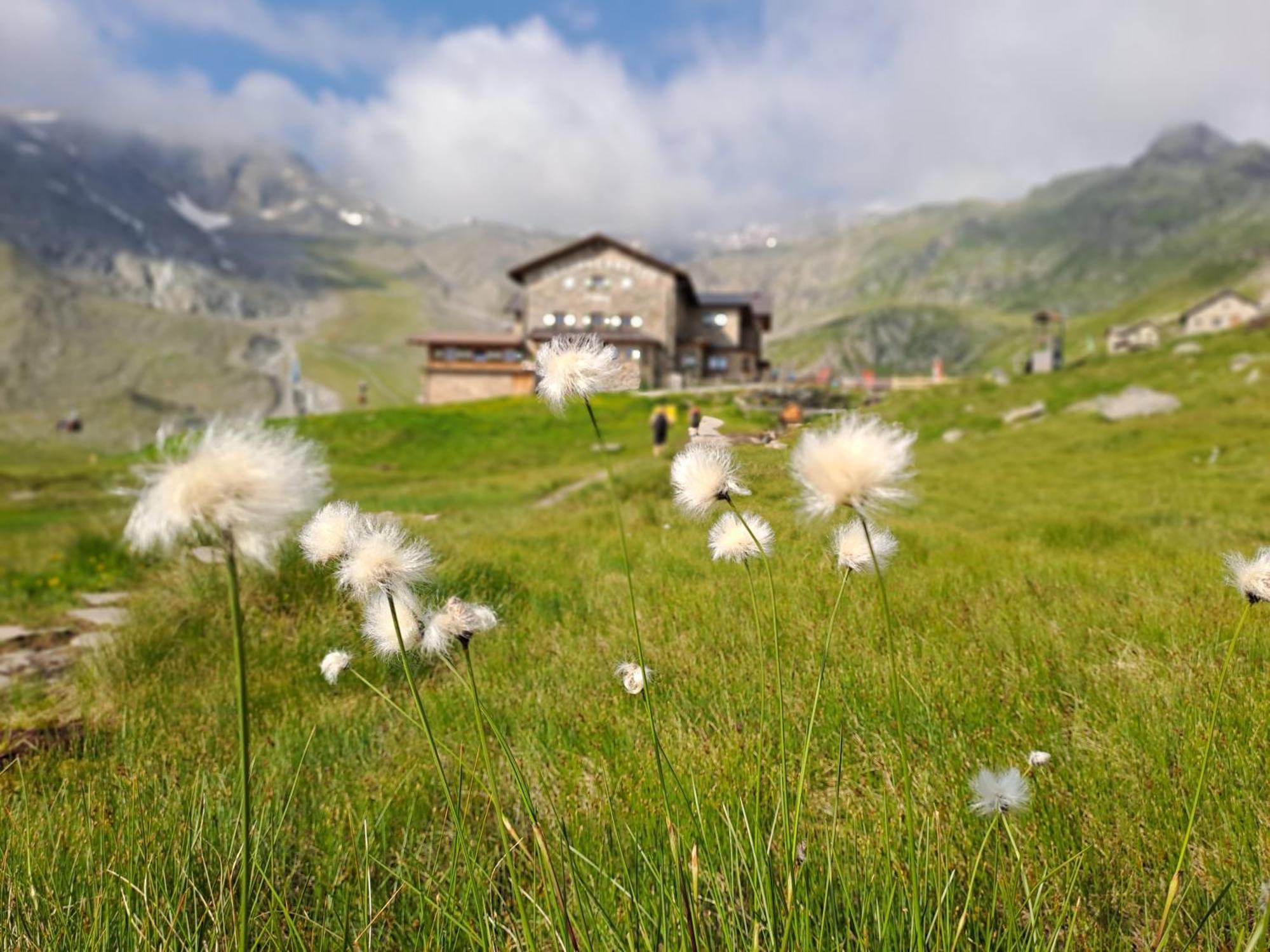 Ferienwohnung Jakob-Adults Only Neustift im Stubaital Exterior foto